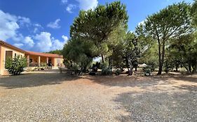Il Lentischio del Sinis